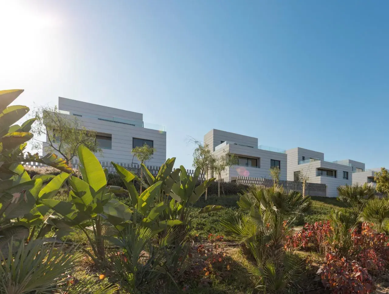 Modern white townhouses behind tropical planting at Al Burouj